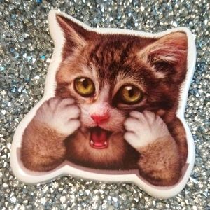 Funny Cat Magnet